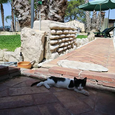 Aurelio Rapillo Maison d'hôtes Latina