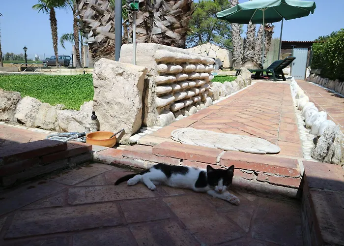 Aurelio Rapillo 招待所 拉蒂纳